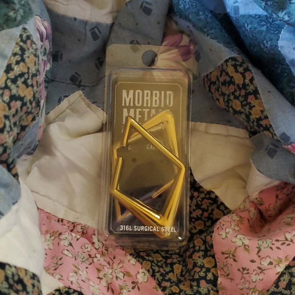 2g (6mm) ear weights